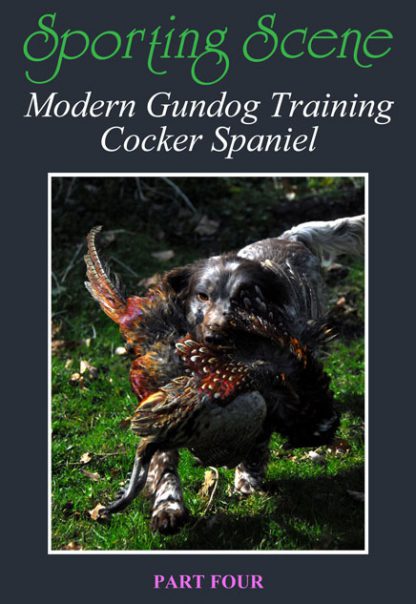 Modern Gundog Training Cocker Spaniel Part Four