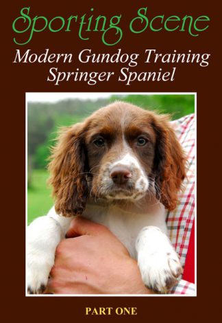 Modern Gundog Training Springer Spaniel Part One