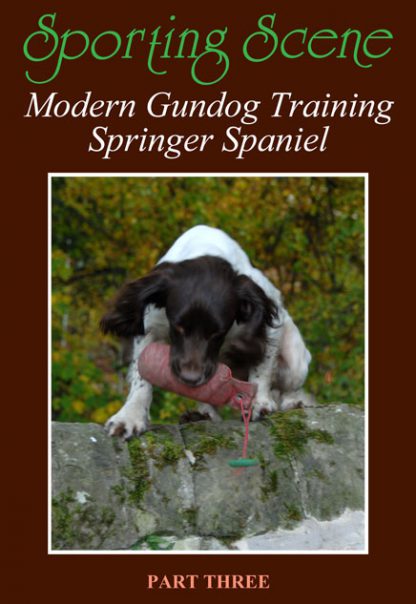 Modern Gundog Training Springer Spaniel Part Three