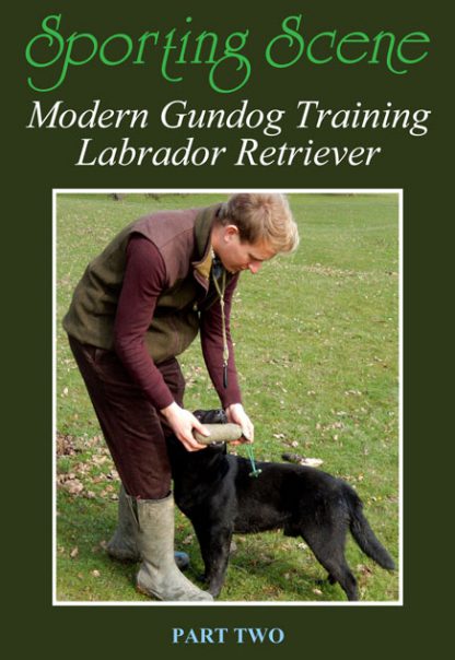 Modern Gundog Training Labrador Retriever Part Two