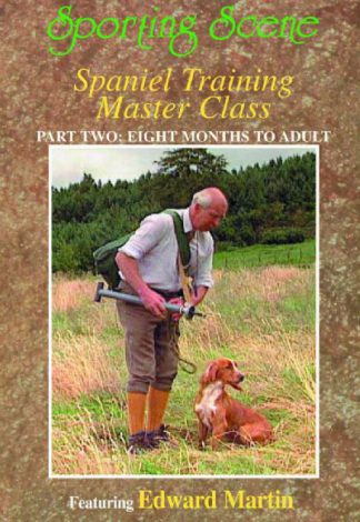 Spaniel Training Master Class - Part 2 Eight Months to Adult