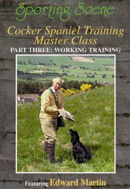 Cocker Spaniel Training Master Class Part Three - Working Training